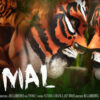 Primal – Victoria Lawsom de Bo Llanberris