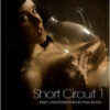 Scurtcircuit 1 – Emily J. de Paul Black (16 poze)