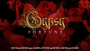 Fortune țigănească – Cindy Starfall de Bo Llanberris